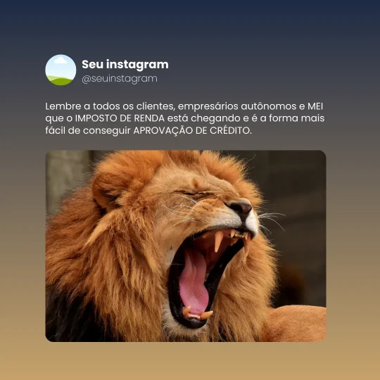 Posts para Contabilidade (16)