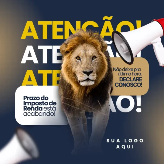 Posts para Contabilidade (24)